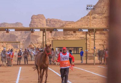 بتوجيهات من سمو الشيخ ناصر بن حمد آل خليفة .. الفريق الملكي للقدرة يشارك يوم السبت في كأس خادم الحرمين للقدرة بالعُلا