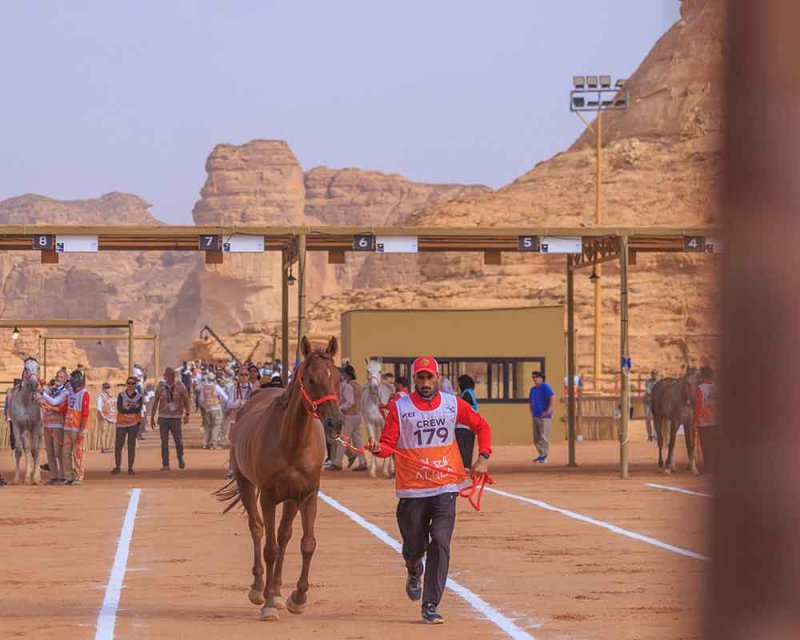 بتوجيهات من سمو الشيخ ناصر بن حمد آل خليفة .. الفريق الملكي للقدرة يشارك يوم السبت في كأس خادم الحرمين للقدرة بالعُلا