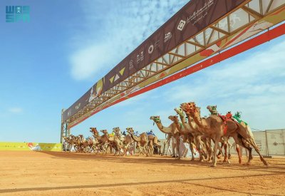 بمشاركة سبع دول .. انطلاق مهرجان خادم الحرمين الشريفين للهجن