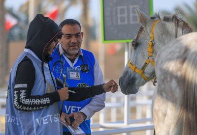 رئيس الاتحاد الملكي للفروسية وسباقات القدرة: فخورون بتنظيم أغلى بطولات القدرة كأس جلالة الملك المعظم