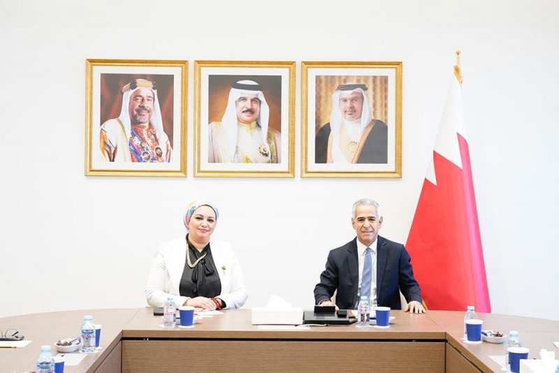 النائب الأول لرئيس النواب يستقبل رئيسة النقابة العامة للعاملين في الجمهورية المصرية
