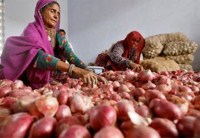أنباء عن ضوء أخضر لتصدير البصل الهندي للبحرين