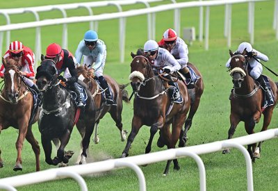 السباق الـ 24 لنادي راشد للفروسية وسباق الخيل ينطلق الجمعة