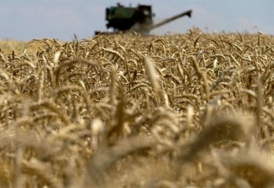 روسيا تشحن 200 ألف طن من الحبوب المجانية إلى 6 دول إفريقية