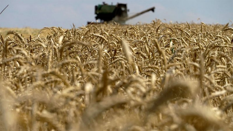 روسيا تشحن 200 ألف طن من الحبوب المجانية إلى 6 دول إفريقية