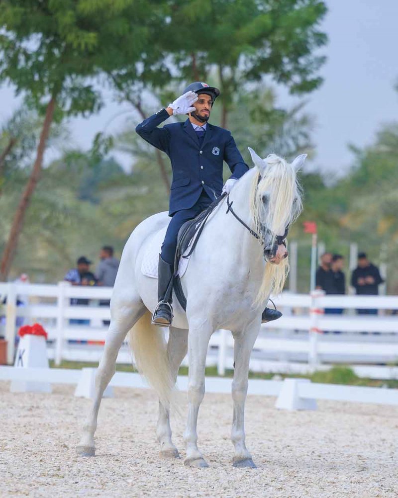 الاتحاد الملكي ينظم غدا بطولة ترويض الجياد "الدريساج"