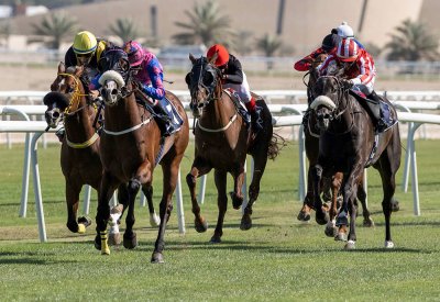 stc البحرين تعلن عن شراكتها مع نادي راشد للفروسية وسباق الخيل للعام العاشر