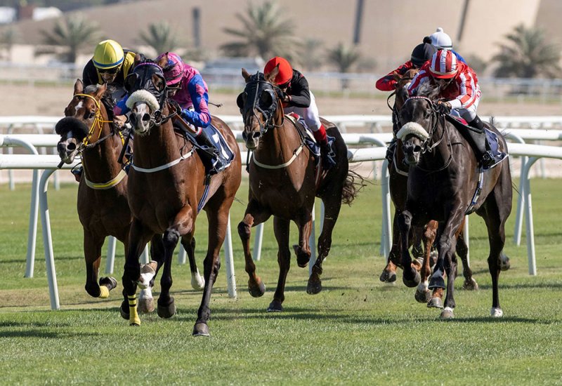 stc البحرين تعلن عن شراكتها مع نادي راشد للفروسية وسباق الخيل للعام العاشر