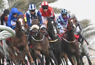 إعلان الجياد المشاركة في مهرجان سباق الخيل الكبير على كأس جلالة الملك المعظم