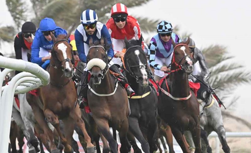إعلان الجياد المشاركة في مهرجان سباق الخيل الكبير على كأس جلالة الملك المعظم