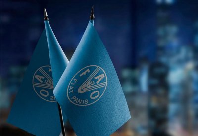 أدنى مستوى منذ 2021.. أسعار الغذاء العالمية تواصل التراجع