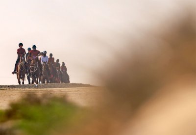 السبت السباق الكبير للاسطبلات الخاصة للقدرة على كأس ناصر بن حمد