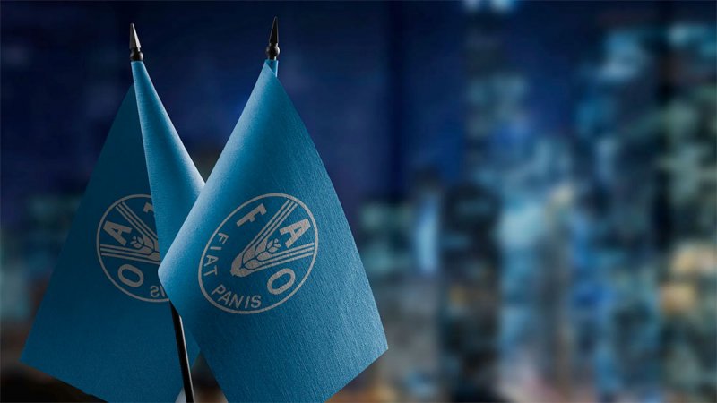 أدنى مستوى منذ 2021.. أسعار الغذاء العالمية تواصل التراجع