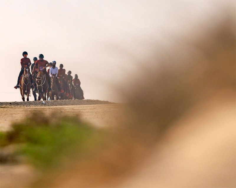 السبت السباق الكبير للاسطبلات الخاصة للقدرة على كأس ناصر بن حمد