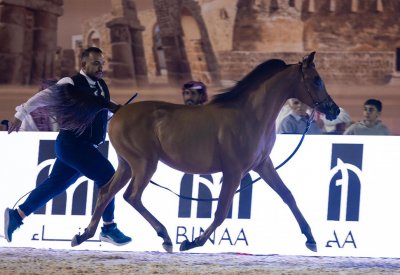 انطلاقة مميزة لمنافسات بطولة البحرين للإنتاج المحلي