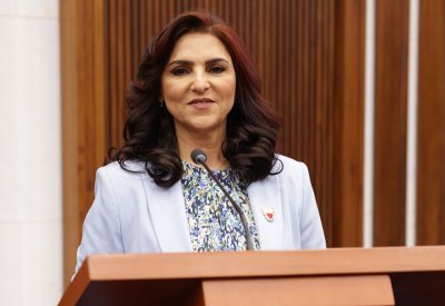 "الشورى" يوافق على تعديل مدة التجربة للعمالة المنزلية إلى 6 أشهر