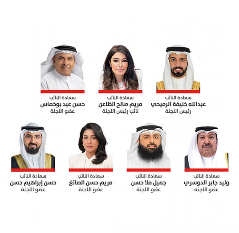 "خارجية النواب": الشراكة المجتمعية ركن أساسي في الاستراتيجية الأمنية العصرية