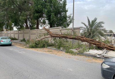 سقوط أجزاء من سور مقبرة الحورة.. والأوقاف الجعفرية تتابع الحادث