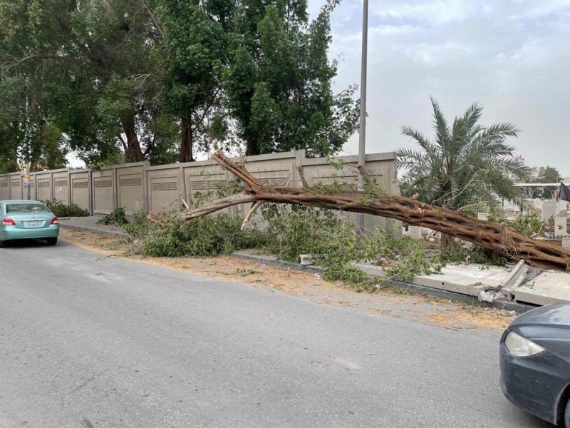 سقوط أجزاء من سور مقبرة الحورة.. والأوقاف الجعفرية تتابع الحادث