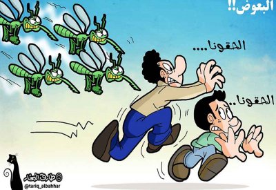 البعــوض يستمــر فـي قـرص الأجســاد... غــزو أم لعنــة؟
