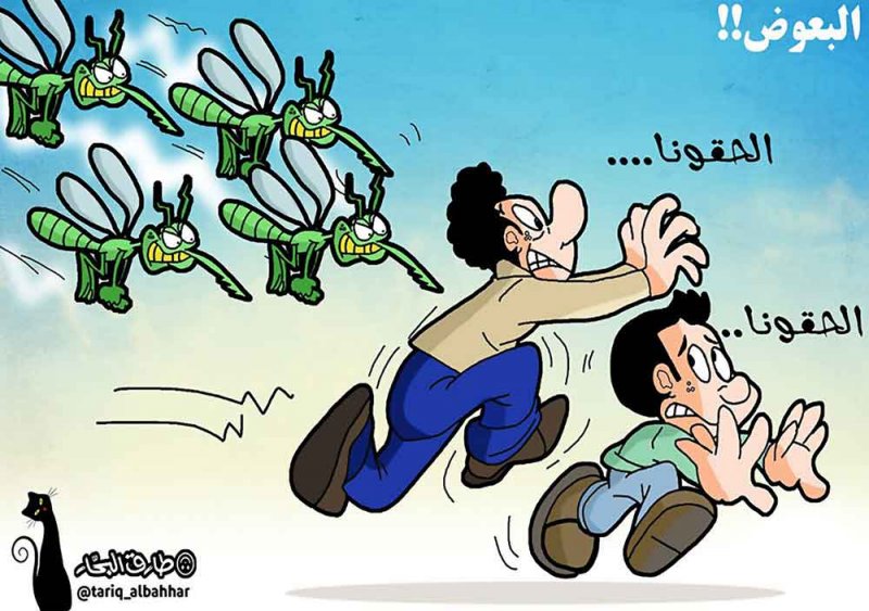 البعــوض يستمــر فـي قـرص الأجســاد... غــزو أم لعنــة؟