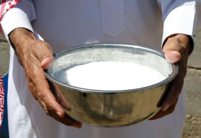 1200 كيلو حليب طازج "سبيل" في المزارع يوميًا
