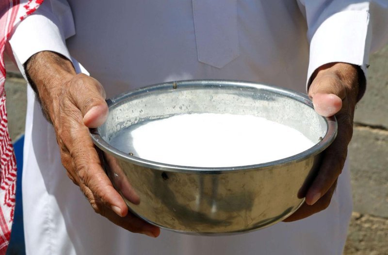 1200 كيلو حليب طازج "سبيل" في المزارع يوميًا