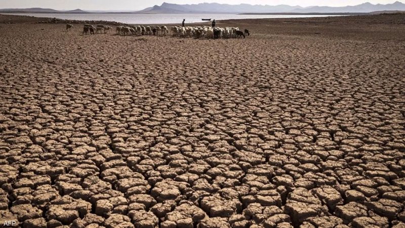 وسط طقس متطرف.. 20 مليونا يواجهون الجوع بدول الجنوب الأفريقي