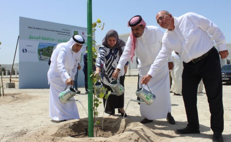 المبادرة الوطنية لتنمية القطاع الزراعي تواصل الحملة الوطنية "دمت خضراء"