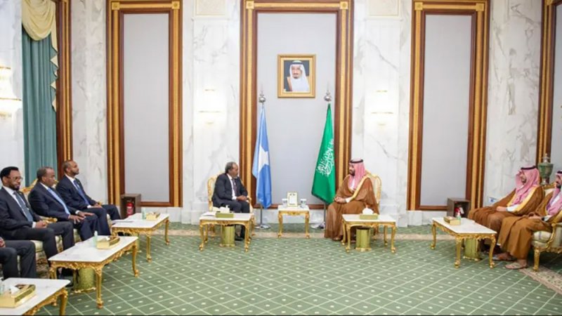 السعودية والصومال تتفقان على أهمية تعزيز العلاقات الاستثمارية