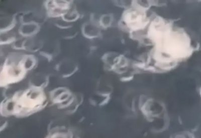 بالفيديو: ظواهر غريبة رافقت الكسوف.. العلماء عجزوا عن فك لغزها