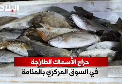 بالفيديو: حراج الأسماك الطازجة في السوق المركزي بالمنامة
