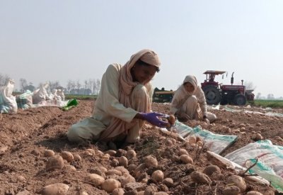 أكثر من 70 % من عمال العالم معرضون لمخاطر صحية بسبب تغير المناخ