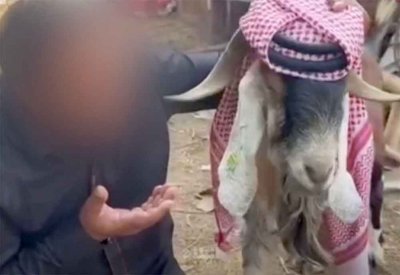 استدعاء وتوقيف شخص إثر قيامه بنشر مقطع مصور يشكل مساسا بالنسيج الاجتماعي وإضرارا بالسلم الأهلي