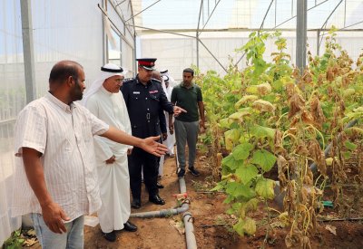 محافظ الشمالية يتفقد المزارع في هورة عالي بحضور اللجنة الأمنية وممثلي الوزارات الخدمية