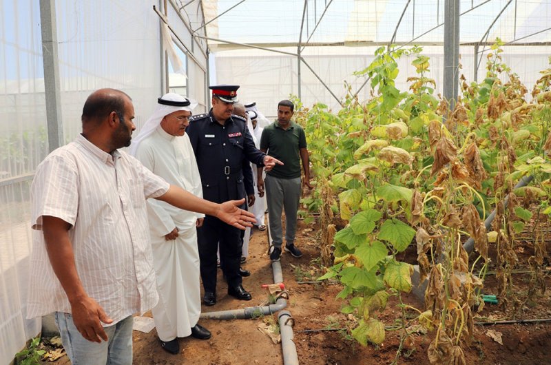 محافظ الشمالية يتفقد المزارع في هورة عالي بحضور اللجنة الأمنية وممثلي الوزارات الخدمية