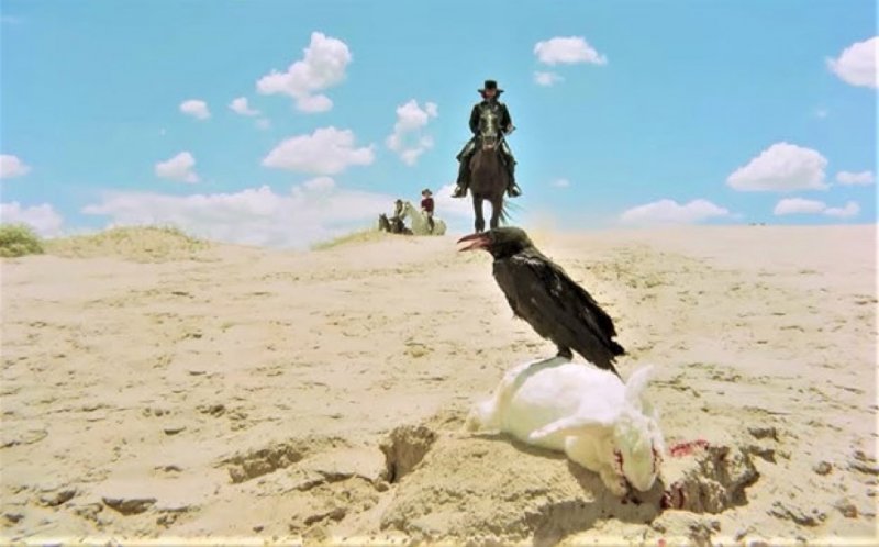"EL TOPO" رؤية سينمائية بأسلوب سريالي لأكسندرو جودوروسكي