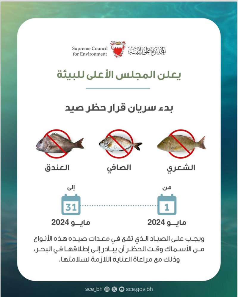 "الأعلى للبيئة" يعلن بدء سريان حظر صيد أسماك الشعري والصافي والعندق ابتداء من يوم غد