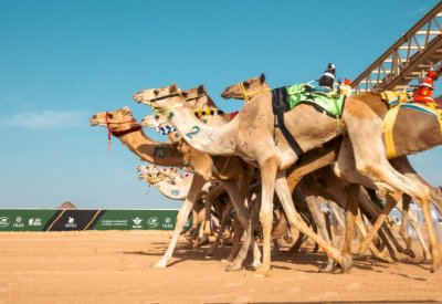 منتخب البحرين يدخل كأس العرب الأولى للهجن في ميدان العلا بحظوظ قوية