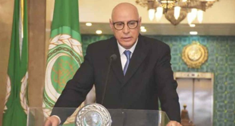 رئيس قطاع الاعلام بالجامعة العربية: المنطقة العربية مطالبة بتعبئة جادة ومتضامنة لمؤهلاتها للدفع بمسارات التنمية