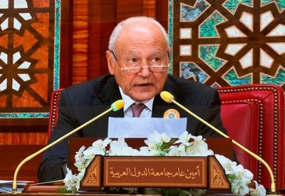 أبوالغيط: الشعوب العربية لن تنسى العنف الأعمى لإسرائيل
