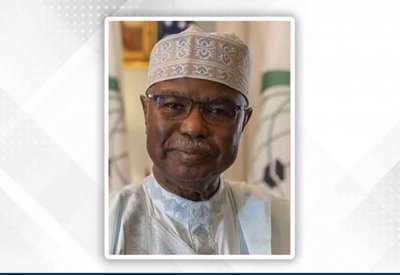 أمين التعاون الإسلامي: ضرورة تعزيز الأمن والاستقرار والرخاء بالمنطقة بالتشارك مع الدول العربية