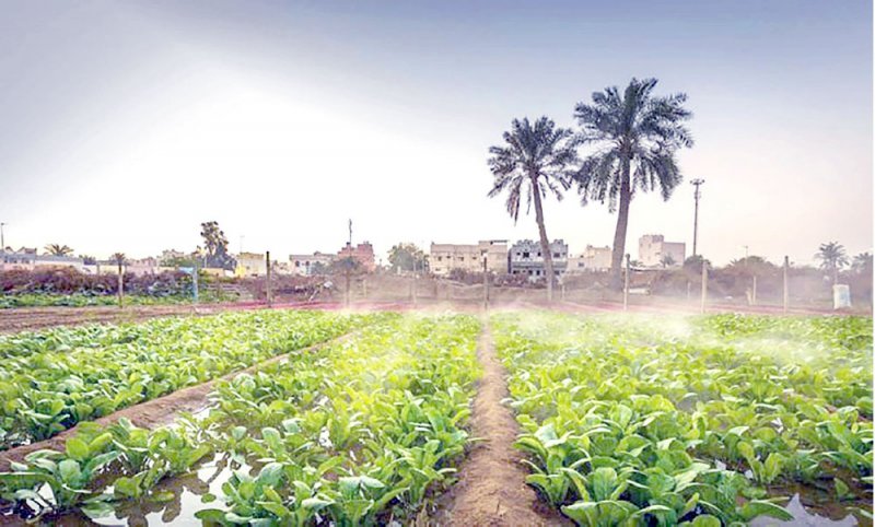 أكثر من 5 مناطق مصنفة محميّات طبيعية في البحرين