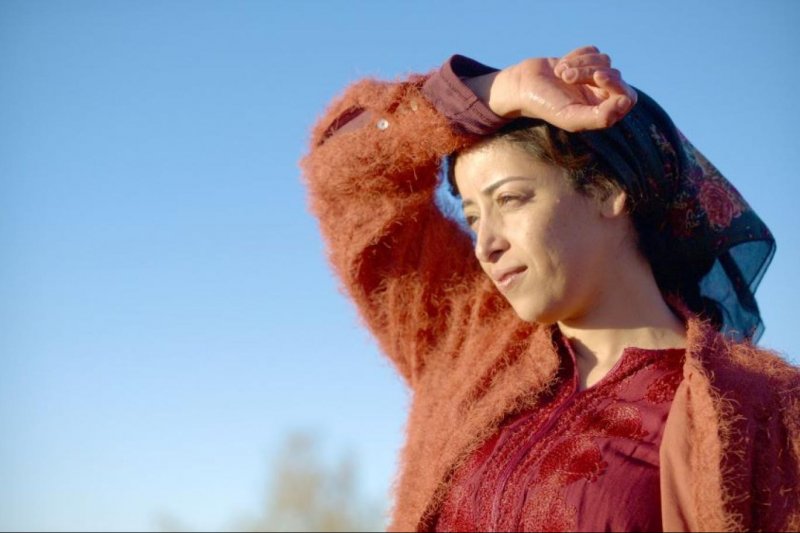 مهرجان كان السينمائي يحتفي بالفيلم المغربي “الكل يحب تودا”