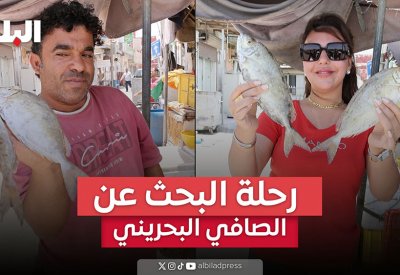 بالفيديو: رحلة البحث عن الصافي البحريني