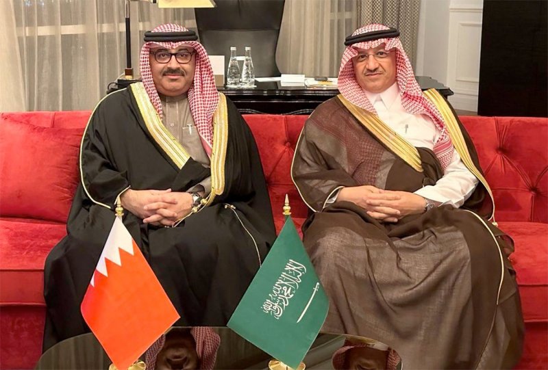وزير التربية والتعليم يلتقي نظيره السعودي