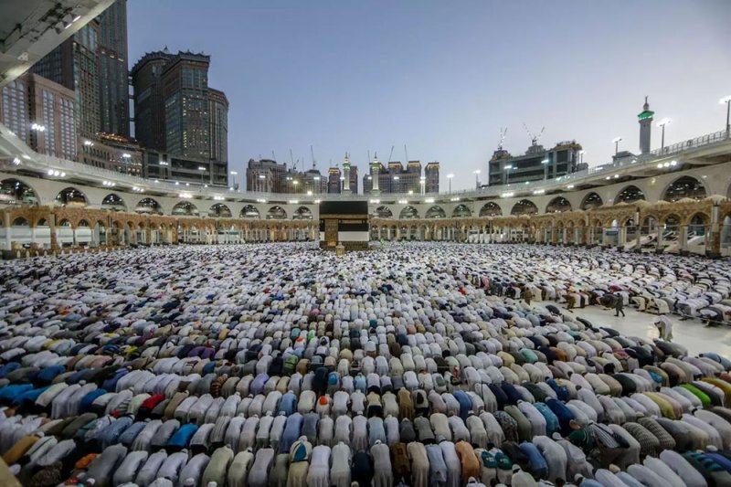 أصحاب حملات الحج: كوادرنا جاهزة لاستقبال ضيوف الرحمن