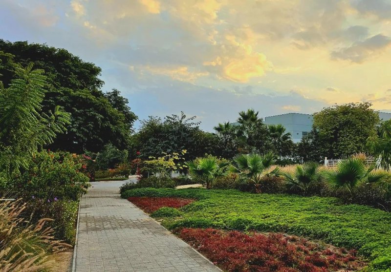 حديقة جديدة في الزنج بمفهوم الـ Eco-Walk