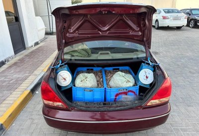 حبس متهمين من الجنسية البنغالية لبيعهما الروبيان الطازج أثناء فترة سريان الحظر