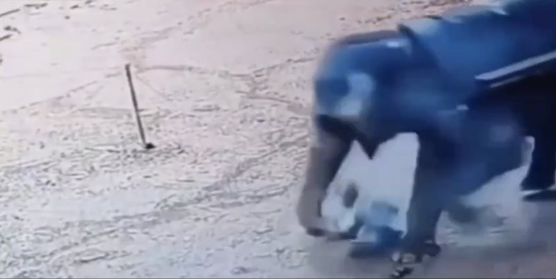 فيل يدهس مدربه بوحشية حتى الموت
